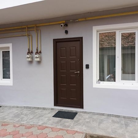 Apartmán 3 Josepartment Temešvár Exteriér fotografie